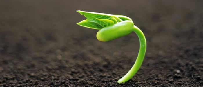 Spring is just Spring